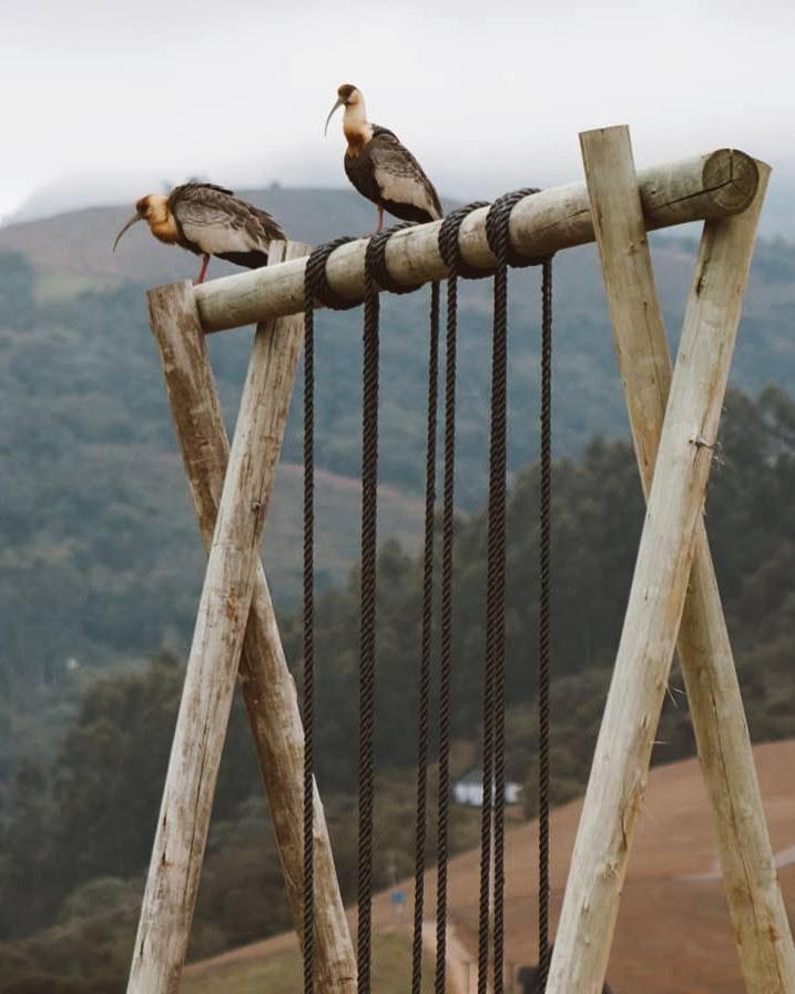 Chales O Refugio Alfredo Wagner Esterno foto